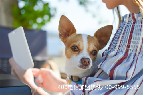 (400電話代理介紹)(400電話代理條件)